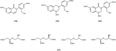 Mushroom-derived bioactive components with definite structures in alleviating the pathogenesis of Alzheimer’s disease